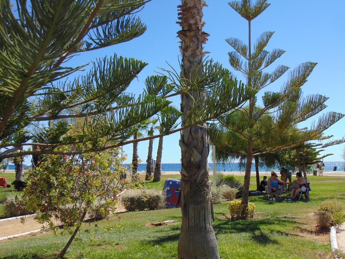 Apartamentos Varios Con 2 Dorm En Marina Dor , La Playa De Amplaries 47 , Vista Lateral Al Mar Oropesa del Mar Bagian luar foto