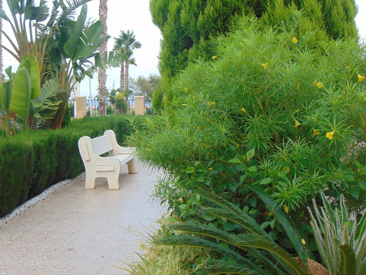 Apartamentos Varios Con 2 Dorm En Marina Dor , La Playa De Amplaries 47 , Vista Lateral Al Mar Oropesa del Mar Bagian luar foto